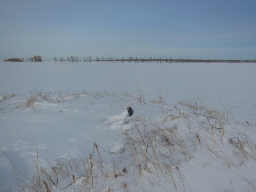 лежка