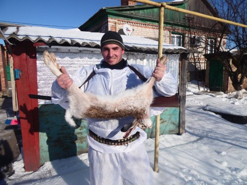 Новогодний заяц