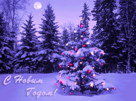 С Новым Годом и Рождеством!!!