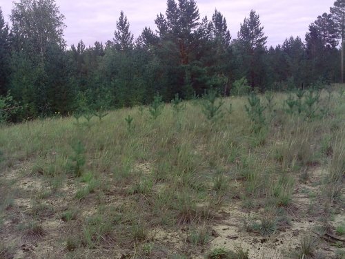 После пожара.