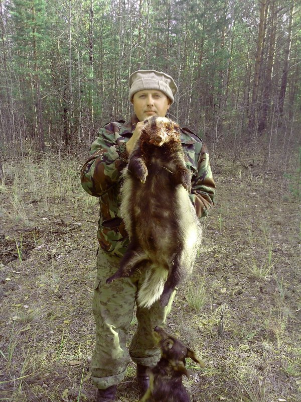 Закрыл лицензию.