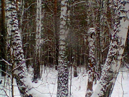 Три сестры.