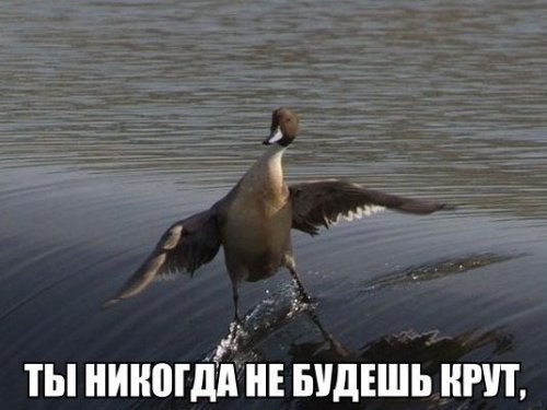 Улыбнитесь!