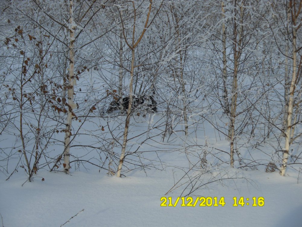 Моя помошница.