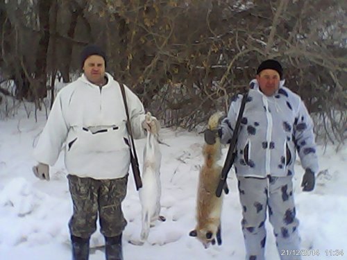 заяц и лиса