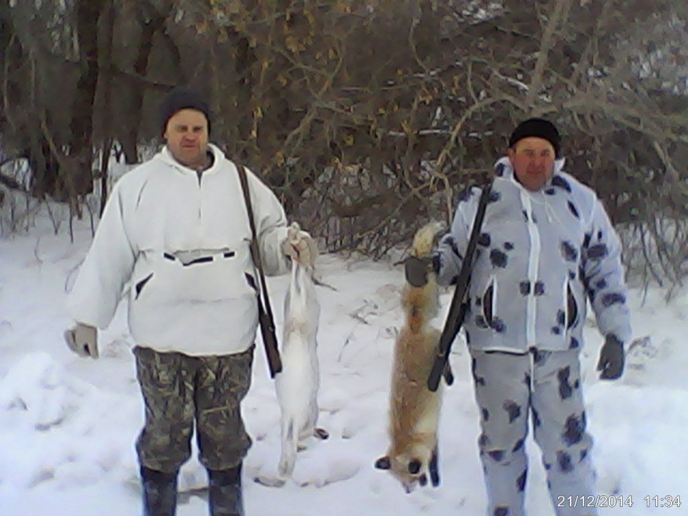 заяц и лиса