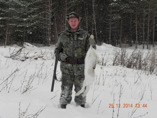 Русак