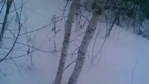 Охота на зайца 12.2014