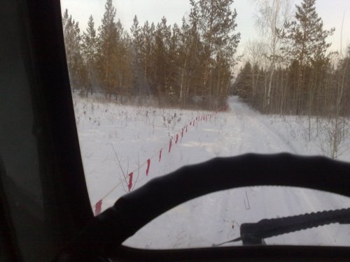 Волчий оклад.