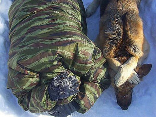 Уникальный пес