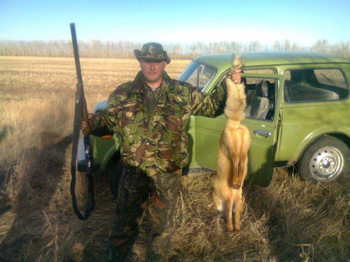 Лисофей
