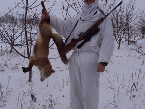 Лисовин.