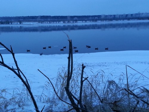 Помошницы