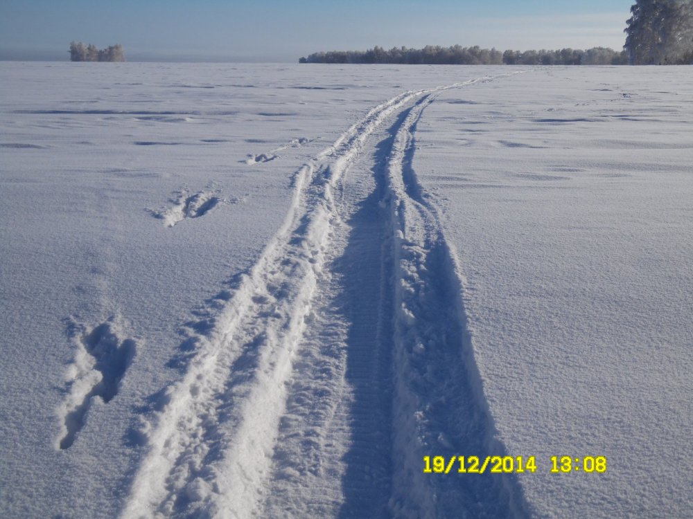 ЗИМА 2014