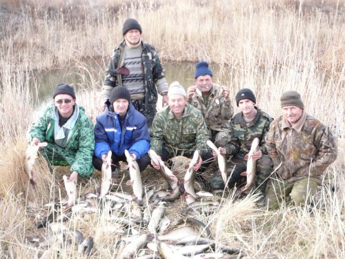 "Хвостатая охота"