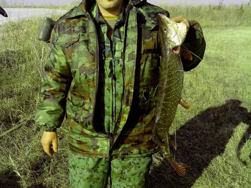 Ездили в Казахстан.