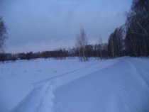 Image description