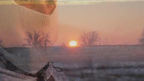 Тропление зайца