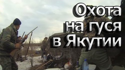 Охота на гуся.Якутия.2014/Goose Hunting.Yakutia (Siberia).