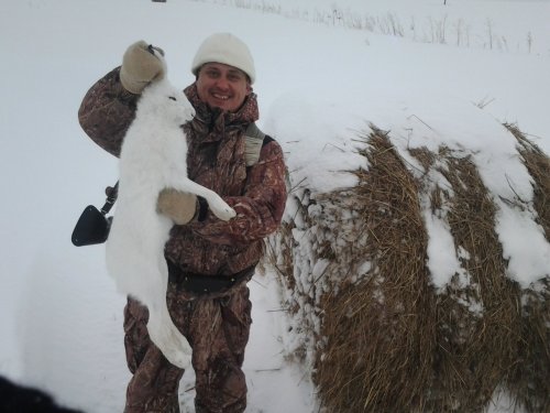 Опять порадовал нас зайчик!