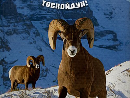 Пусть в Новом году вам улыбнется Байанай! (перевод)