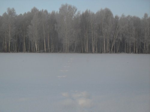 Субботняя прогулка. Фотоотчет.