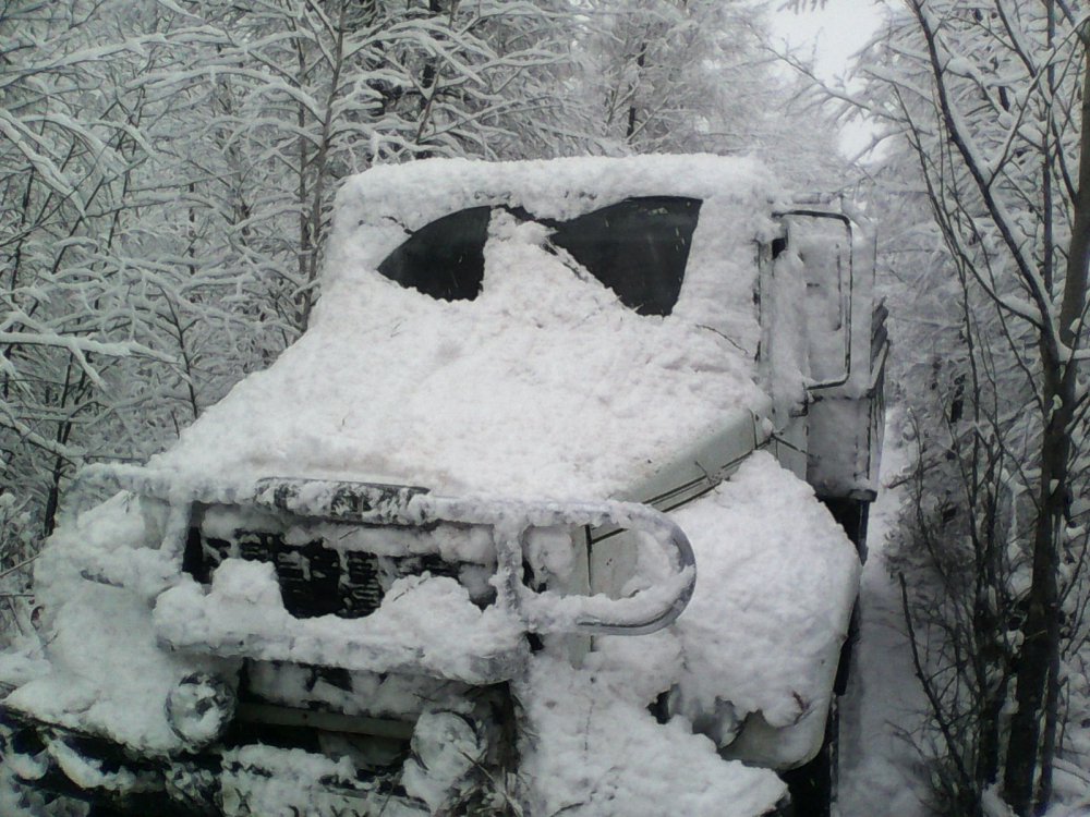 первый снег 10 10 2014