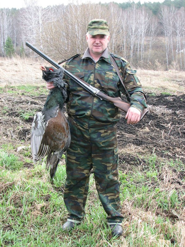 Глухарь