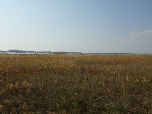 Юбилей отца (Алтайский край, Рубцовский район, 24-27 сентября 2014г.).