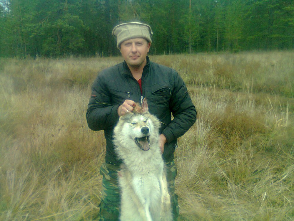 Волчица.2013год