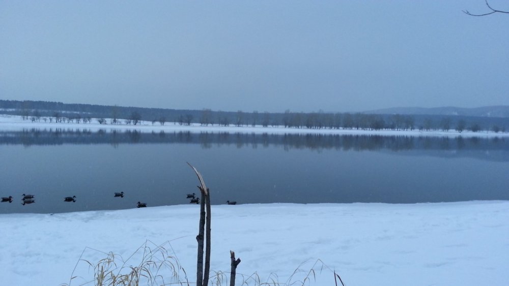 23. 12.    на улице-1.