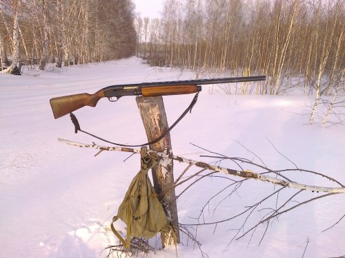 прогулка 01.01.2015