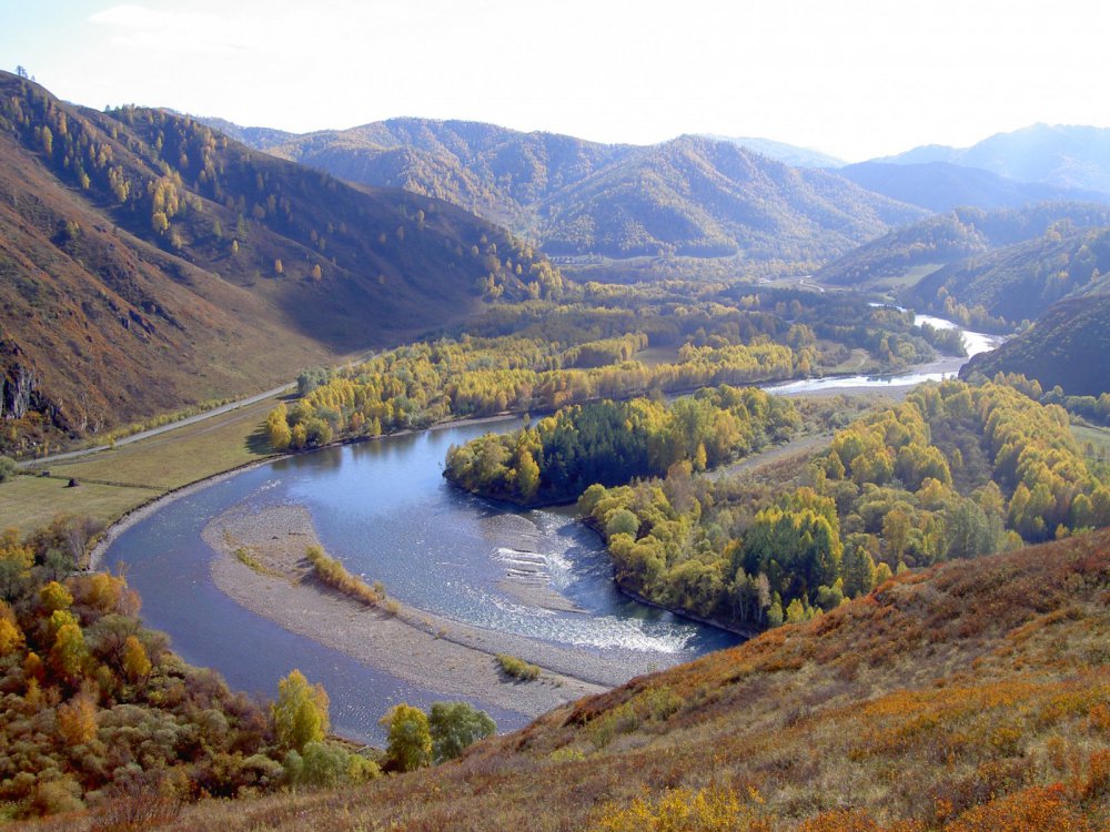 Чарыш
