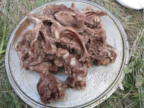 Мясо сурка.