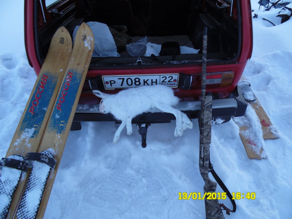 Пришлось побегать за ним.