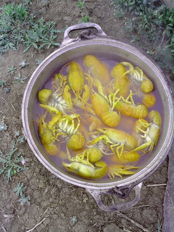 Под пенное!