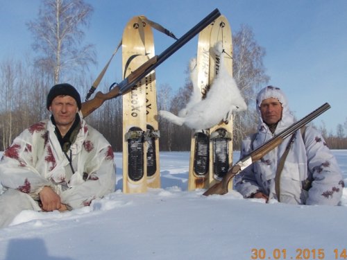 Хорошие помощники
