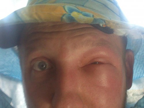 Здесь я добыча