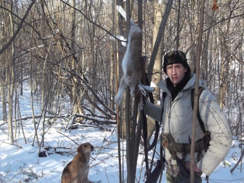По первому снегу