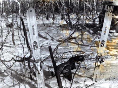 Первый глухарь, 1979 год, Камчатка