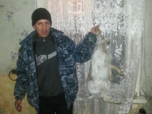 зайченок