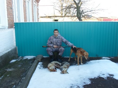 + еще две лисички