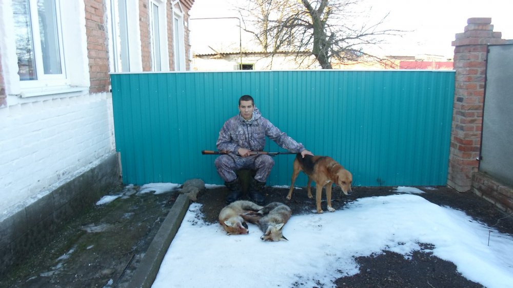 + еще две лисички