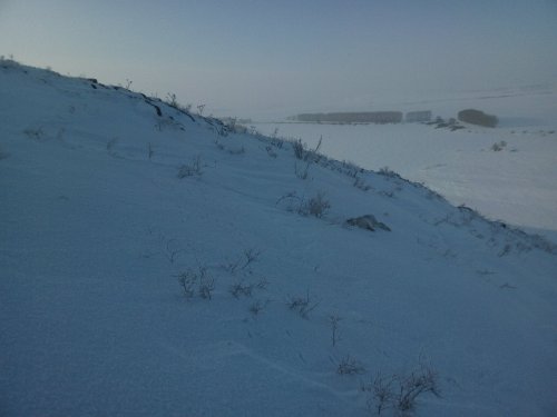 Обещали вернуться и вернулись
