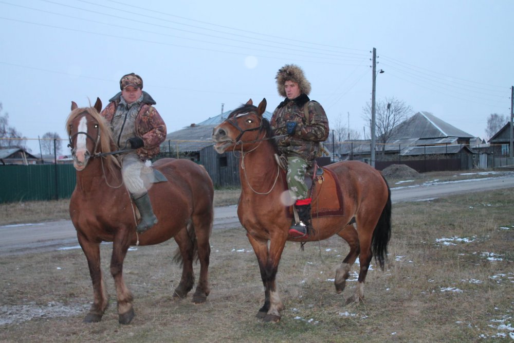 Наши помощницы .