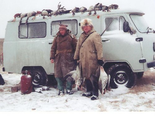 На осеннем пролете гусей.
