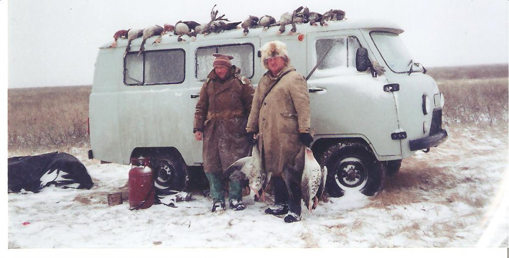 На осеннем пролете гусей.