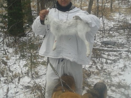 догнали