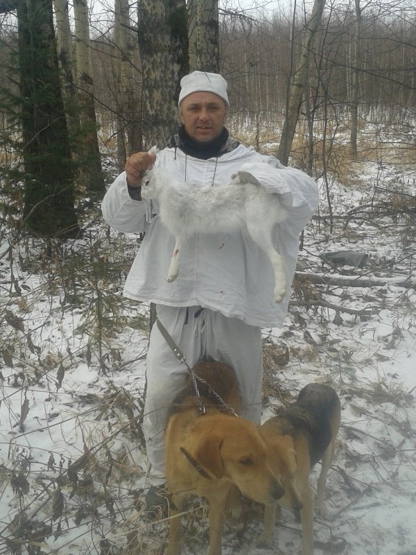 догнали