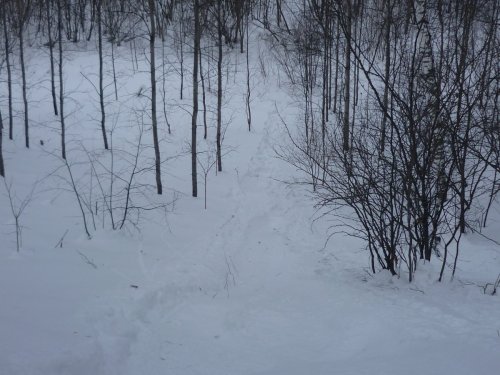Горка на даче в логу!